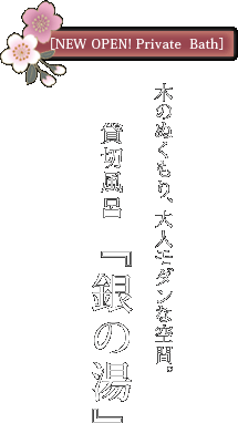 木のぬくもり、大人モダンな空間。貸切風呂『銀の湯』